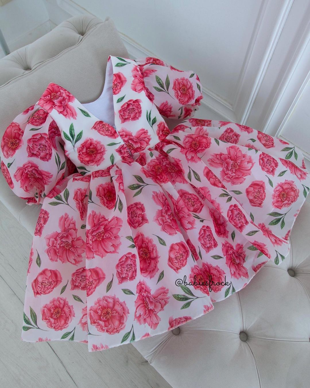 Rose Printed Organza Dress - Main Image
