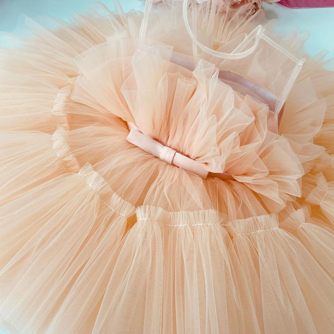 Beautiful birthday dress for baby