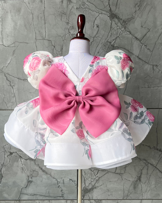 Rosy Bloom Baby Dress