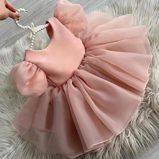 Beautiful Rose Peach Dress